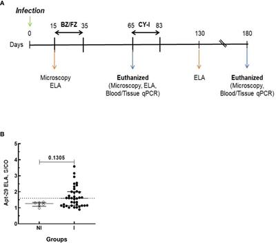 Trypanosoma cruzi antigen detection in blood to assess treatment efficacy and cure in mice models of Chagas disease